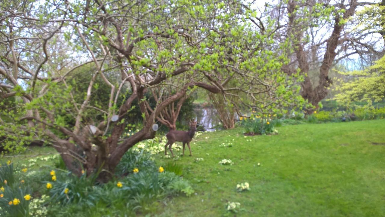 The Lynch Country House Somerton  Luaran gambar